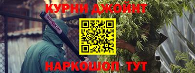 гидра Будённовск