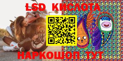 гидра Будённовск