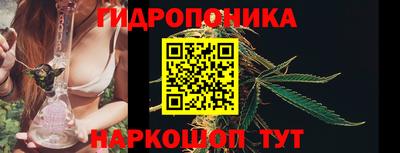 гидра Будённовск