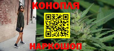 гидра Будённовск